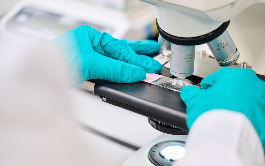 Analyste Qualité-Secteur Cosmétique (m/f/x)